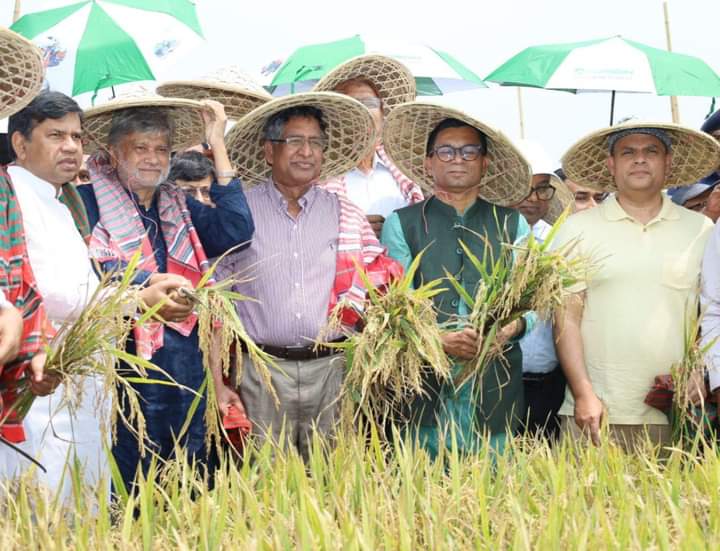 সফলভাবে বোরো ধান ঘরে তুলতে পারলে খাদ্যের কোন সংকট হবে না: কৃষিমন্ত্রী